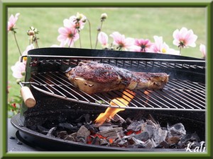 Journée Barbecue !!!